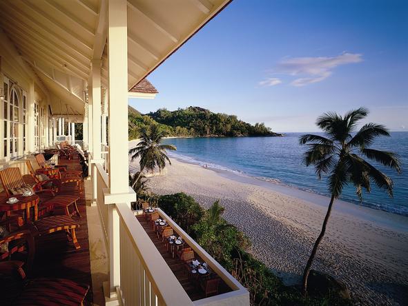 Banyan Tree - Deck 